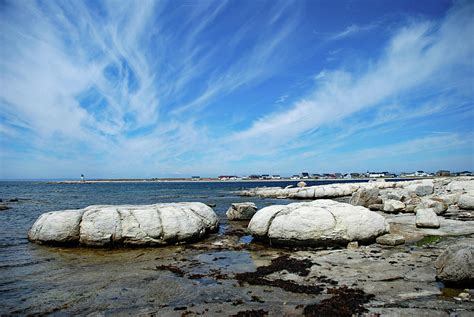 Flowers Cove Thrombolites Photograph by Stephen Emms | Fine Art America