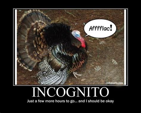 Black Friday Funnies | Funny thanksgiving pictures, Funny turkey ...