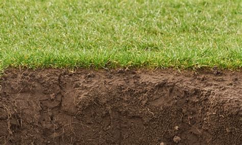 Why Compacted Soil Is A Problem For Your Lawn