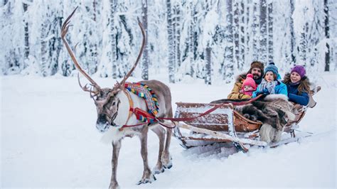 Finland Lapland Reindeer Sleigh Ride & Local Snack Tasting Half-Day Tour - KKday