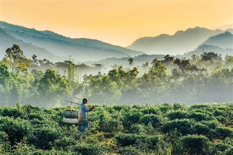 15 Most Beautiful Places in Bangladesh to Visit