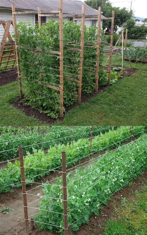 15 Easy DIY Cucumber Trellis Ideas - A Piece Of Rainbow