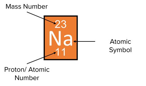 Atoms Questions and Revision | MME