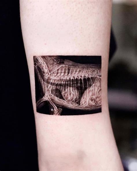 X-Ray Cat by Hyeonhwa Kim Dokhwa: TattooNOW