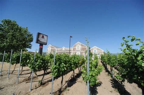 Gruet Winery is a local favorite found here. in 2021 | Winery, Travel new mexico, New mexico