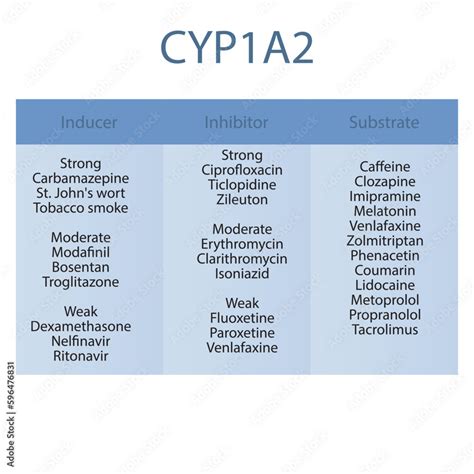 Grafika wektorowa Stock: Cytochrome CYP1A2 table of strong, moderate ...