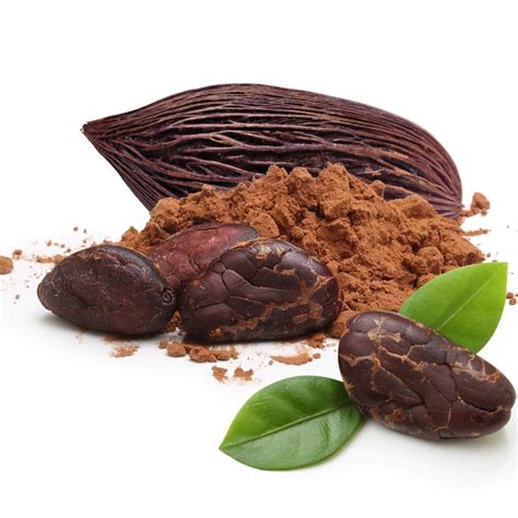 Cacao Tree Seeds (Theobroma cacao) - Ціна: €4.00