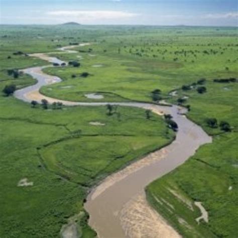 The Congo River: Facts and History | HubPages