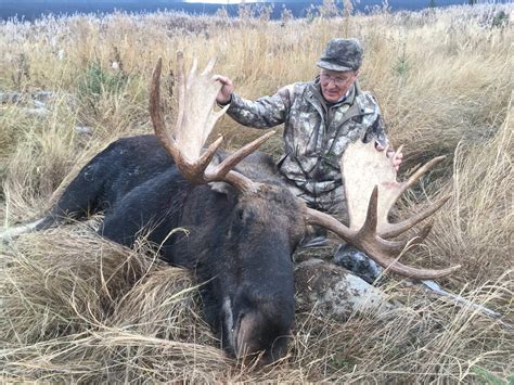 High Success Canadian Moose Hunting in British Columbia