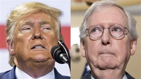 'Republicans better wake up': Trump lashes out at Mitch McConnell in overnight rant - Raw Story