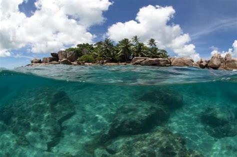 In the Seychelles, coral reefs face climate change threat