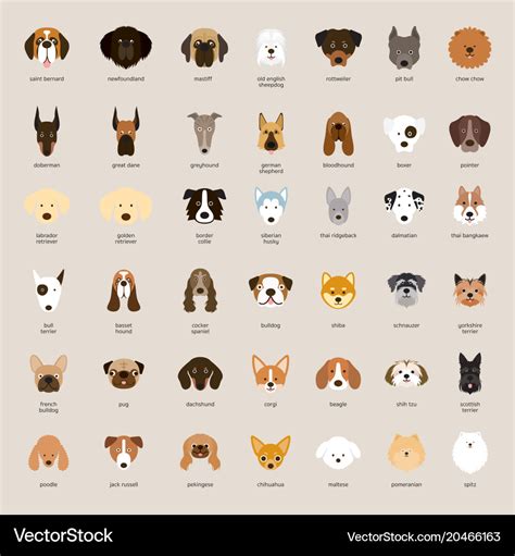 Dog breeds head set Royalty Free Vector Image - VectorStock