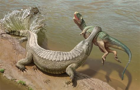 Sarcosuchus takes down a Kryptops : r/Naturewasmetal