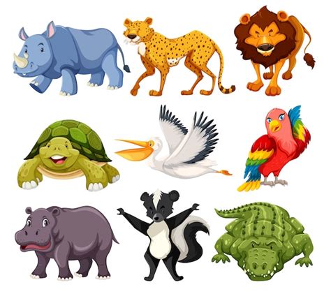 Free Vector | Set of animals pack