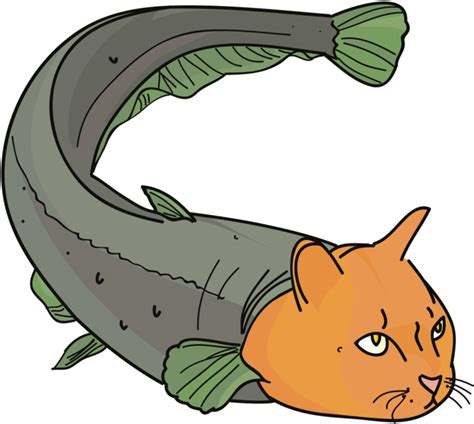 Catfish - Random Facts With, Transparent Png - Original Size PNG Image ...