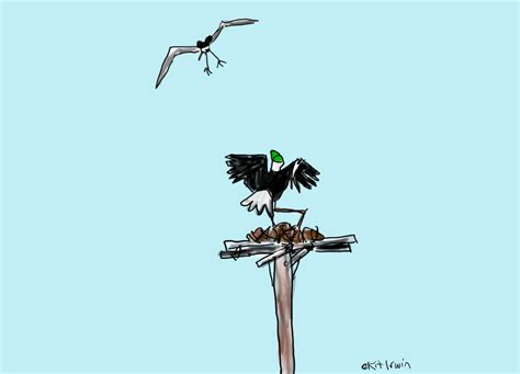 Osprey VS Eagle - by Kit Coyne Irwin