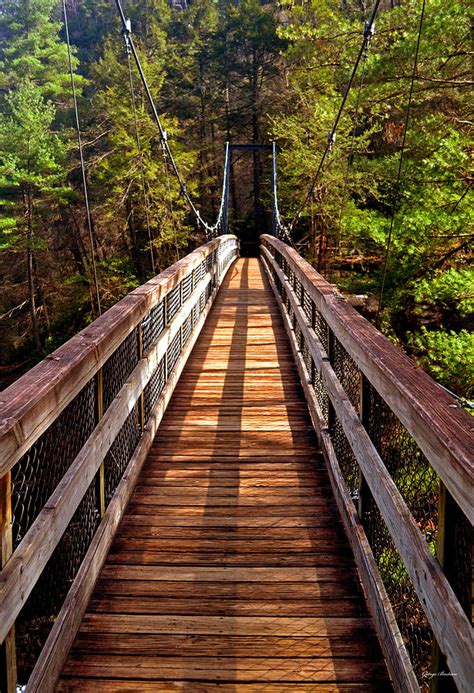 Tallulah Falls Suspension Bridge 002 Photograph by George Bostian