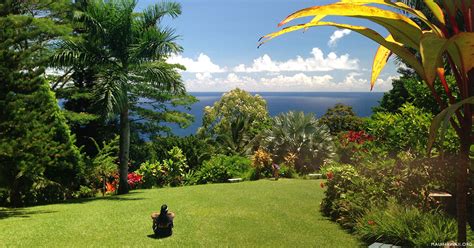 Garden of Eden Maui (scenic garden on the Road to Hana)