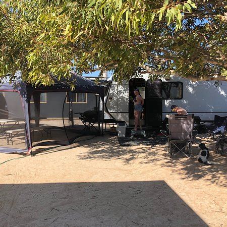 SHARK BAY CARAVAN PARK: 2018 Reviews (Denham) - Photos of Campground - TripAdvisor