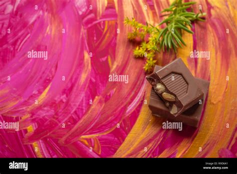 Small chocolate bar next to a plant on a hand painted background. Neutral colors for designers ...