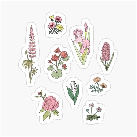 Flower Set Sticker by Maddie G | Floral stickers, Kawaii stickers ...