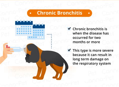 Bronchitis in Dogs: Causes, Signs, & Treatments | Canna-Pet