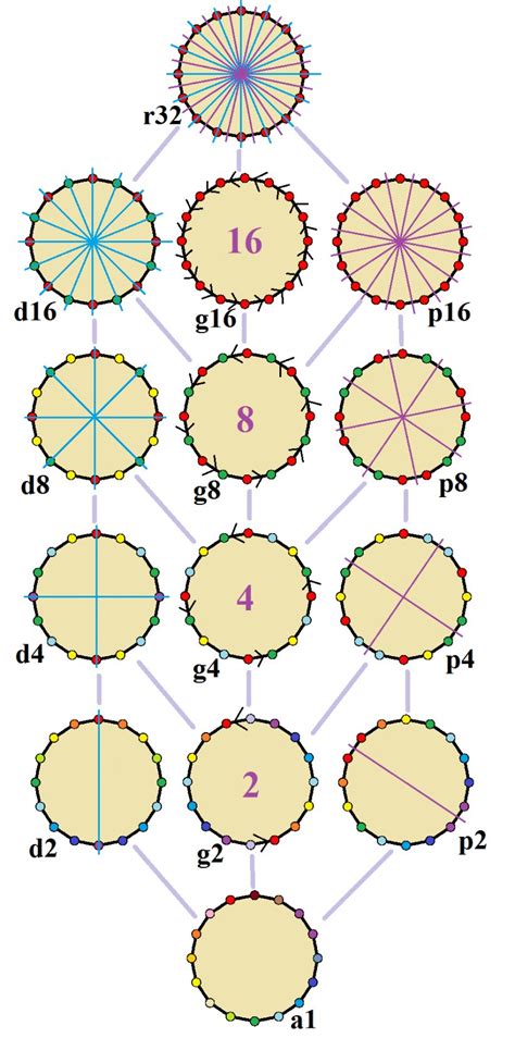 Hexadecagon Polygon Angle Edge Geometry, PNG, 888x1832px, Hexadecagon, Area, Dihedral Group ...