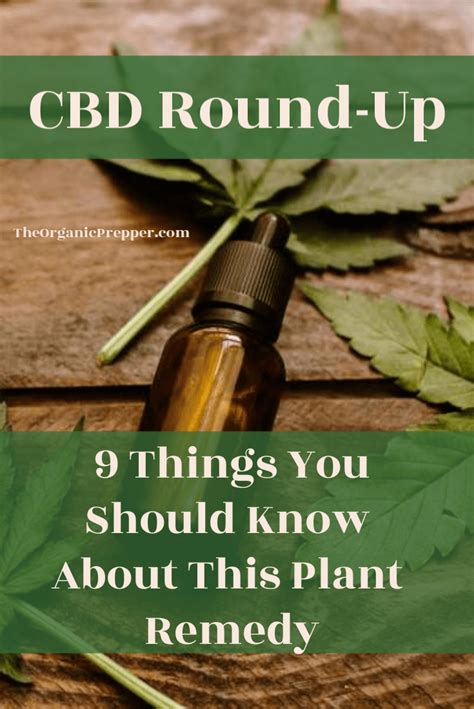 9 Things You Should Know About CBD - The Organic Prepper