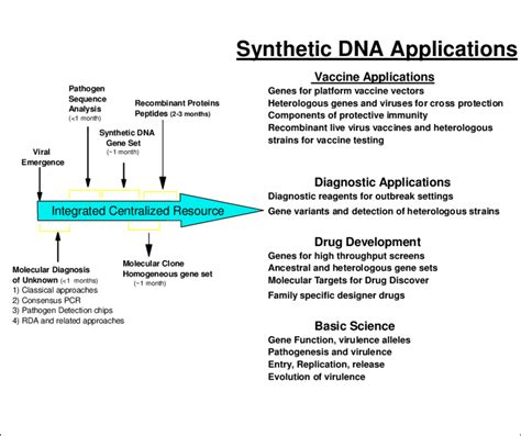 Synthetic DNA Rapid Response Applications. | Download Scientific Diagram