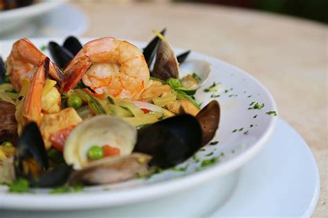 The Ultimate Guide to The Most Incredible Seafood Restaurants in Tampa - American Eats