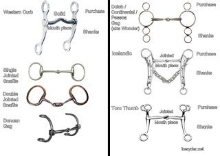 Types of bits | Bits for horses, Horse riding tips, Types of horses