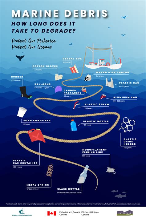 Marine Debris, Save Our Oceans, Marine Conservation, Life Hacks For ...