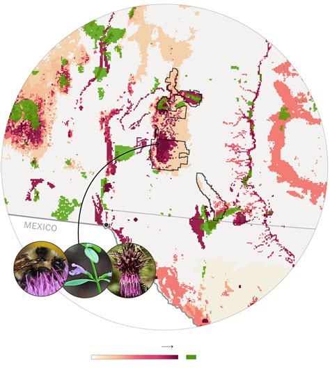 This Map Shows Where Biodiversity Is Most at Risk in America - The New York Times