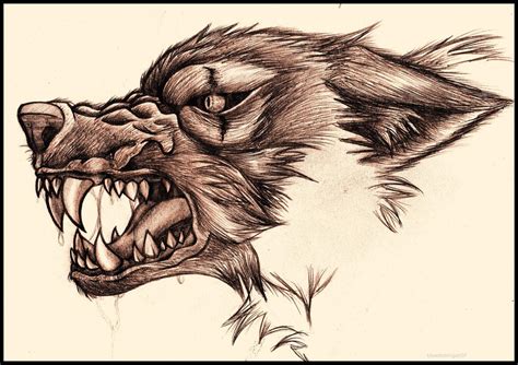 Snarling Wolf by bluesharingan07 on DeviantArt