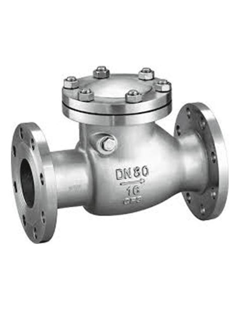 Spring Loaded Check Valve - Dutch Valve Vision