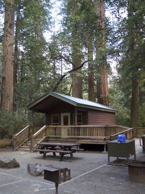 Redwood National Park hosts beautiful cabins to rent at a great price