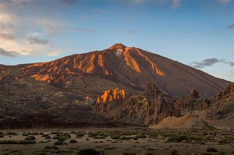 Wildlife Holidays in the Canary Islands for 2024/25 - Naturetrek