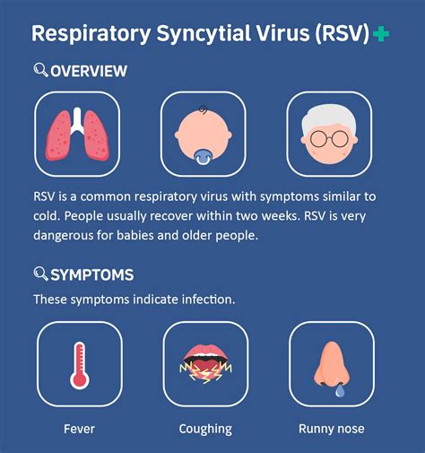 2024 Rsv Symptoms - Megan Sibylle