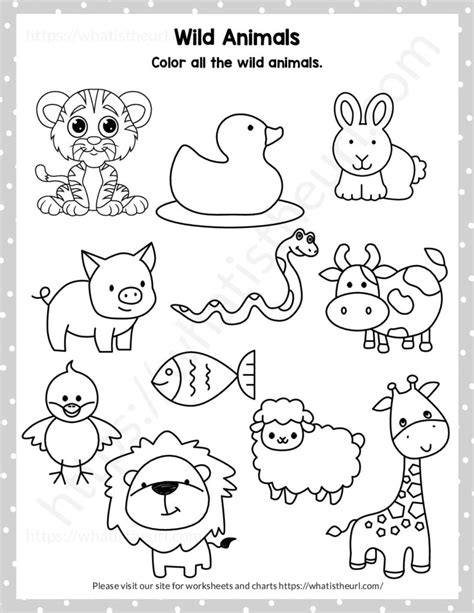 Find and color the wild animals - Your Home Teacher