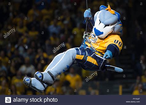 Nashville, Tennessee, USA. 19th Apr, 2016. Nashville Predators mascot Stock Photo, Royalty Free ...