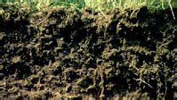 soil | Definition, Importance, Profile, Composition, & Facts | Britannica