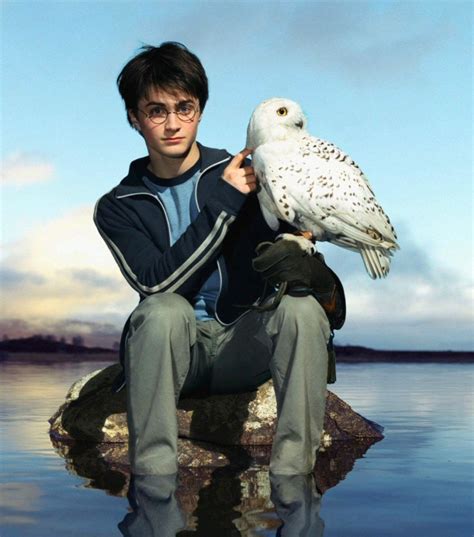 Portrait of Harry and Hedwig — Harry Potter Fan Zone