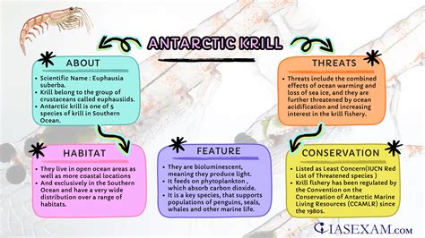 Antarctic Krill UPSC Mind Map - Iasexam.com