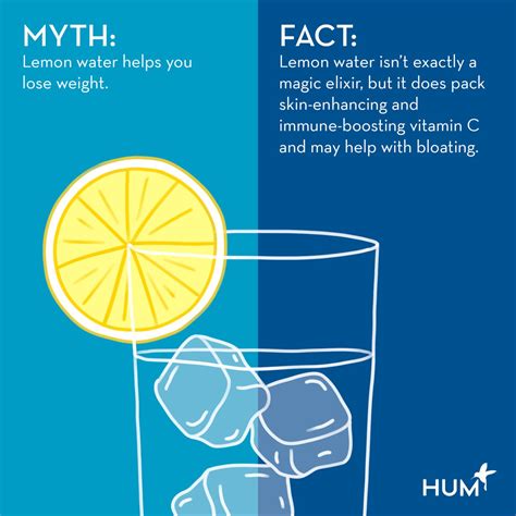 Does Lemon Water Help You Lose Weight? Experts Fact-Check Lemon Water Claims | HUM Nutrition Blog