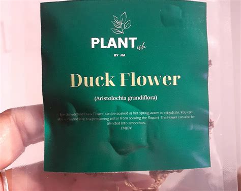 Duck Flower (whole) – Moor Herbs