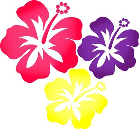 Hawaiian Flowers Vector Illustration | AnnTheGran