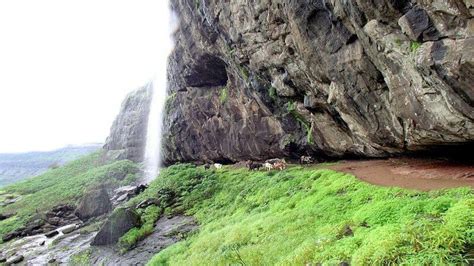 Harishchandragad trek & Camping Behind Waterfall - Offbeat Wanderers Outdoor Services