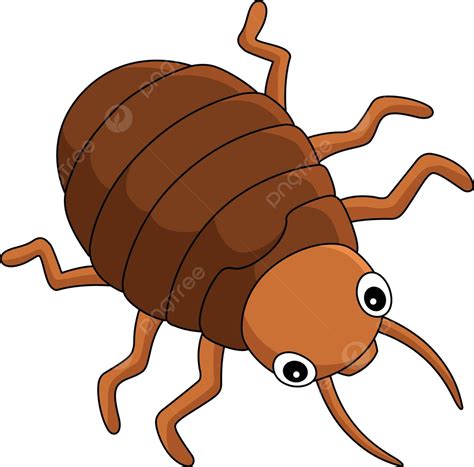 Bedbug Animal Cartoon Colored Clipart Image Nature Clip Art Vector, Image, Nature, Clip Art PNG ...