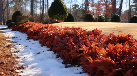 Why Are These Top Winter Lawn Mulching Techniques Essential - Cutting Edge Lawn & Landscape