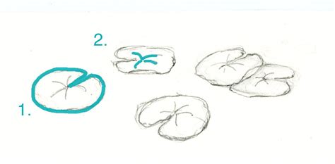 Craftsy.com | Express Your Creativity! | Lily pad drawing, Lily pads, Lilies drawing